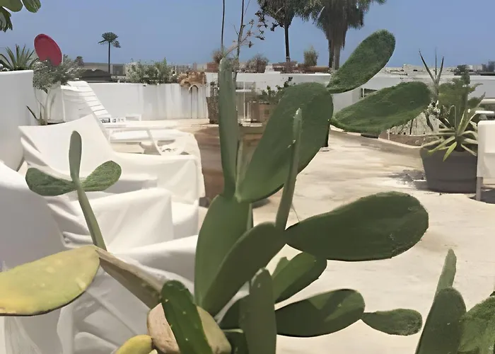 12 De Octubre Cabo San Lucas
