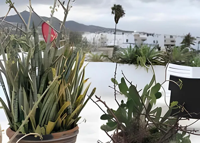 12 De Octubre Appartement Cabo San Lucas